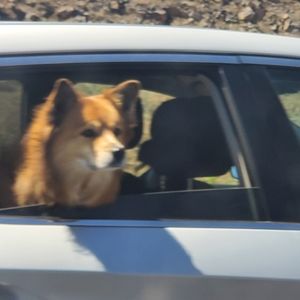 Meet your Posher, Luke